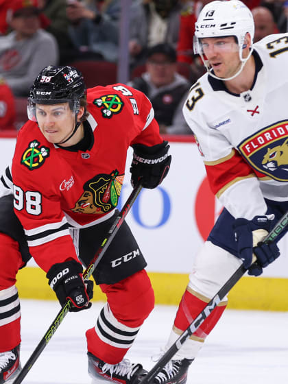 展示了其极 展示了其极