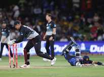 更高的球员 更高的球员