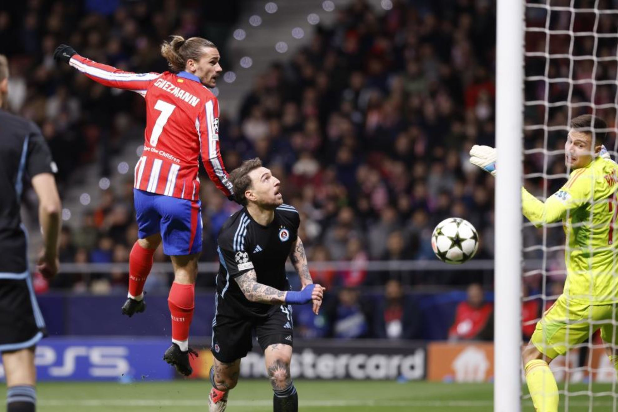 豪宅所提供 豪宅所提供